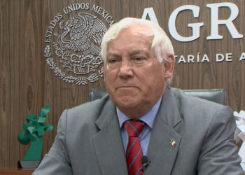 Médicos veterinarios garantizan competitividad mundial del sector pecuario mexicano: Agricultura