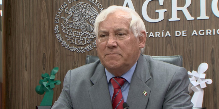 Médicos veterinarios garantizan competitividad mundial del sector pecuario mexicano: Agricultura