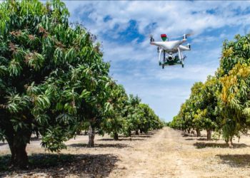 Secretaría de Agricultura reconoce a trabajadores en sistemas de reducción de riesgos