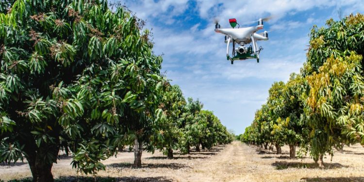 Secretaría de Agricultura reconoce a trabajadores en sistemas de reducción de riesgos