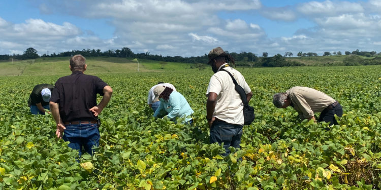 México y Belice fortalecen acciones de cooperación en el sector agroalimentario