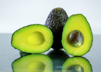 EU autoriza la reanudación del Programa de Inspección de Aguacates en Michoacán