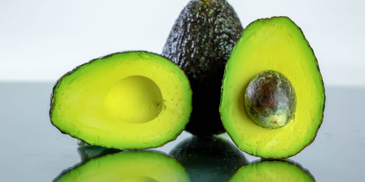 EU autoriza la reanudación del Programa de Inspección de Aguacates en Michoacán