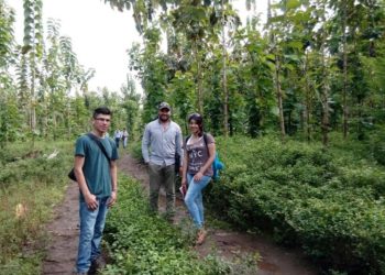 Acreditan los CIEES la Ingeniería Forestal de UAEH