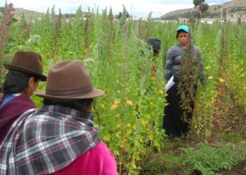La FAO no descarta crisis alimentaria en América Latina y el Caribe por guerra de Ucrania y la pandemia