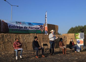 Entrega SDAyR 300 pacas a ganaderos de Apaseo el Grande, Guanajuato