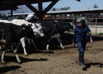 REQUIEREN AGRICULTURA Y GANADERÍA ESTIMULACIÓN DE LLUVIAS