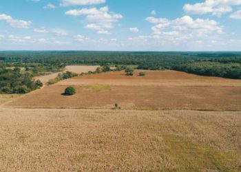 CAMPESINOS SON DESPOJADOS DE SUS TIERRAS POR LOTEROS EN YUCATÁN