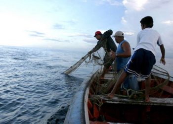 Advierten venta fraudulenta de pescado, Sinaloa ya presenta problemática