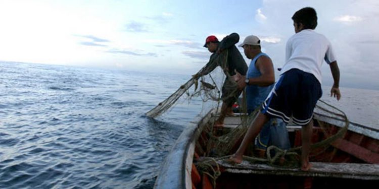 Advierten venta fraudulenta de pescado, Sinaloa ya presenta problemática