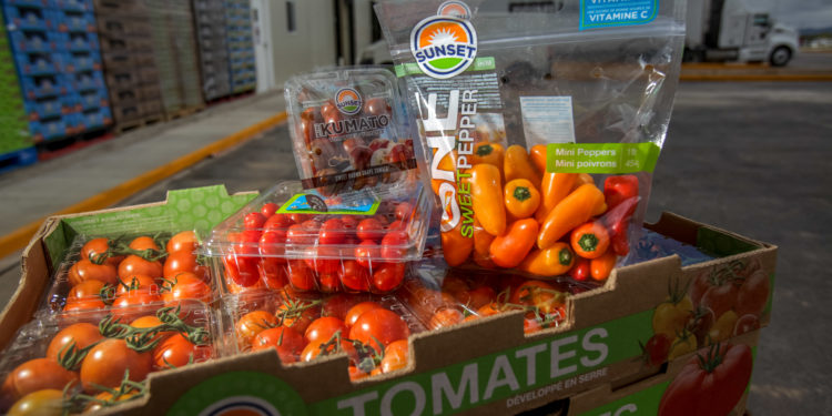 Crecen 14.2 por ciento exportaciones agropecuarias y pesqueras de México en abril