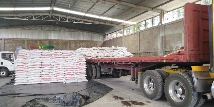 Inicia Agricultura suministro de fertilizante gratuito en Chiapas, Morelos y Tlaxcala