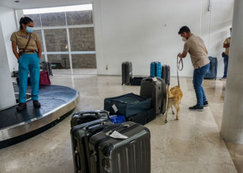 Capacita Agricultura a primeros instructores caninos de Honduras y Nicaragua