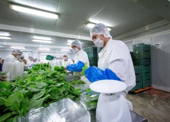 México, entre los países con mayor fortaleza en inocuidad agroalimentaria y confianza de los mercados nacionales y extranjeros