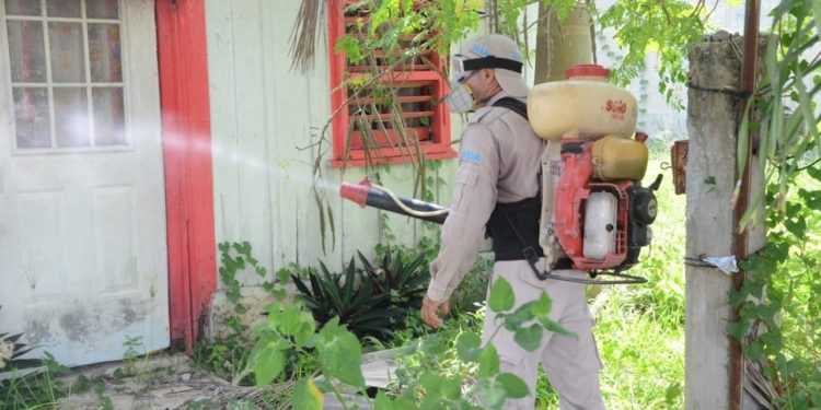 Realizan control larvario en casas de Quintana Roo