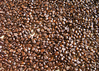 Logran cafeticultores de La Montaña de Guerrero mejor precio de venta con apoyo de Agricultura