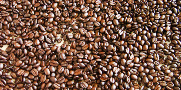 Logran cafeticultores de La Montaña de Guerrero mejor precio de venta con apoyo de Agricultura