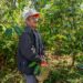 Agricultura y productores impulsarán un café de especialidad desde Guerrero