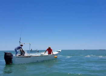 Publica Agricultura actualización de la Carta Nacional Pesquera