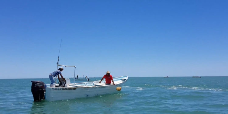 Publica Agricultura actualización de la Carta Nacional Pesquera