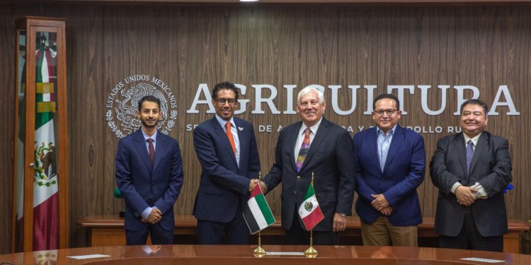 México será sede del Primer Festival Internacional del Dátil, a celebrarse en Sonora