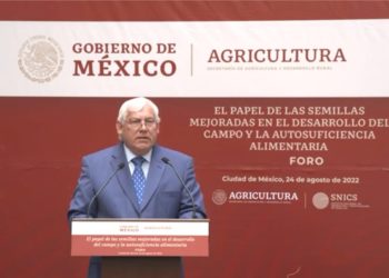 Contribuye semilla de calidad a aumentar rendimiento agrícola de México.