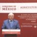 Contribuye semilla de calidad a aumentar rendimiento agrícola de México.