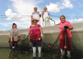 Reactiva Agricultura economía en localidades rurales, apoyando a los que menos tienen.