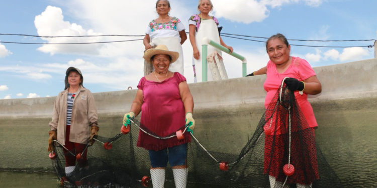 Reactiva Agricultura economía en localidades rurales, apoyando a los que menos tienen.
