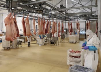 Destaca México como exportador de productos cárnicos.