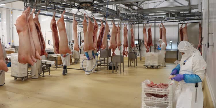 Destaca México como exportador de productos cárnicos.