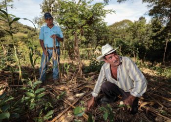 Prepara Agricultura estrategia de reducción y manejo del fuego en el sector agropecuario.