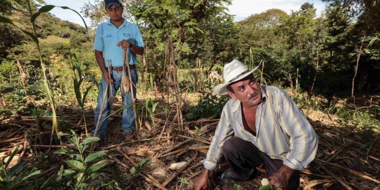 Prepara Agricultura estrategia de reducción y manejo del fuego en el sector agropecuario.