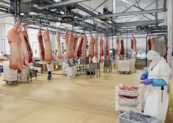 México, entre los principales productores y consumidores de carne de cerdo en América Latina y el mundo.