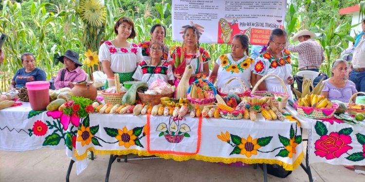 Participan familias productoras en eventos del Día Nacional del Maíz.