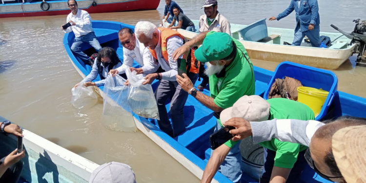 Desarrolla Agricultura estrategia de producción de pescado blanco en el Lago de Pátzcuaro
