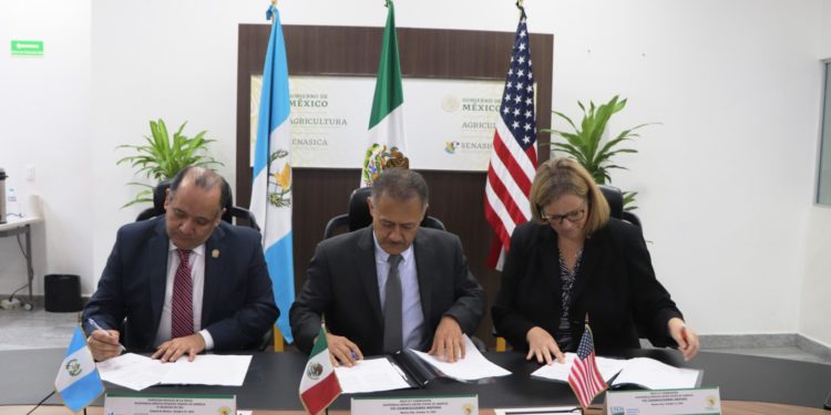 Refrendan México, Estados Unidos y Guatemala plan de trabajo contra la mosca del Mediterráneo