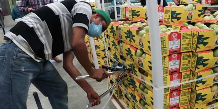 Potencializa México la capacidad para irradiar frutas y fortalece la exportación de vegetales frescos.