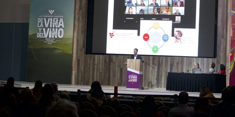 Presenta México avance científico para determinar huella digital del vino nacional