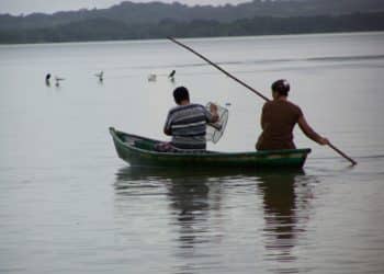 Amplían vigencia de zonas de refugio pesquero frente a la costa oriental de Baja California Sur