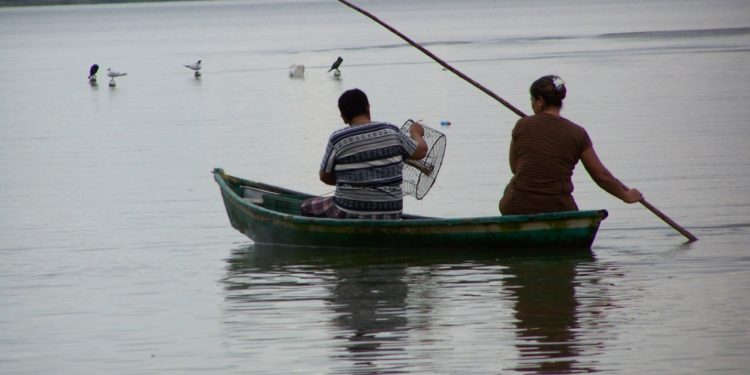 Amplían vigencia de zonas de refugio pesquero frente a la costa oriental de Baja California Sur