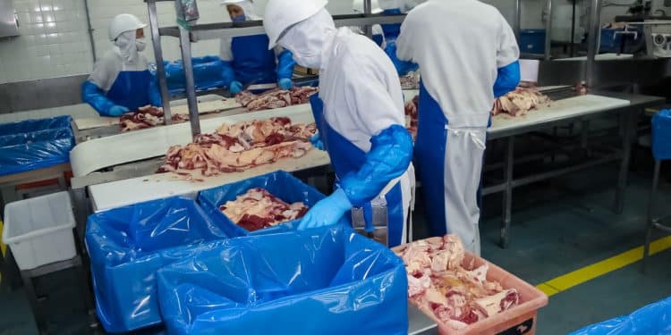 Abre México mercado de importación de cárnicos de res procedentes de Argentina