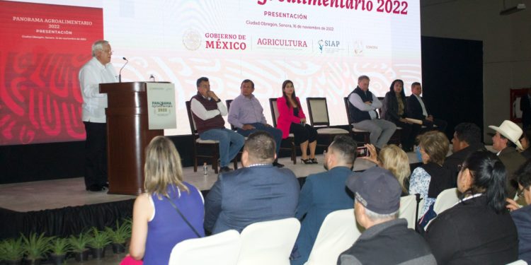 Se consolida sector agroalimentario como motor de la economía mexicana.