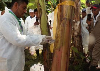 Amplían colaboración técnica y científica en beneficio de la región Sudamericana