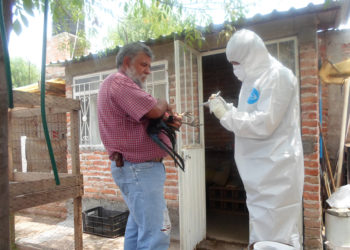 Amplía Agricultura vigencia del Dispositivo Nacional de Emergencia para proteger la avicultura nacional