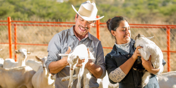 Crecen actividad económica y exportaciones del sector primario mexicano en últimos meses de 2022