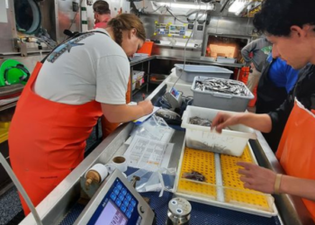 Biólogos, actores relevantes en el estudio de la pesca sostenible en México: Agricultura