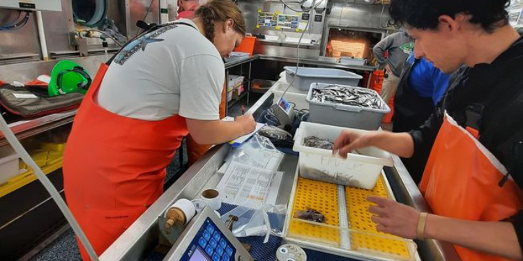 Biólogos, actores relevantes en el estudio de la pesca sostenible en México: Agricultura