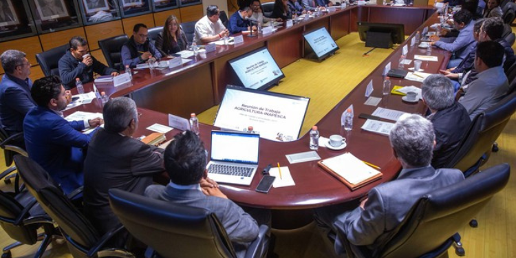 Impulsará Inapesca dos mil líneas de investigación para potenciar la producción sustentable pesquera y acuícola