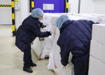 Acciones sanitarias de Agricultura impidieron ingreso a México de 191 plagas cuarentenarias